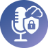 No Audio Storage